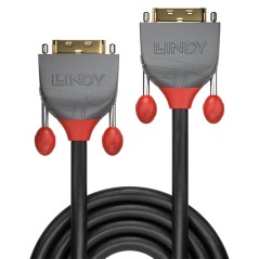Lindy 5m DVI-D Dual Link Cable,